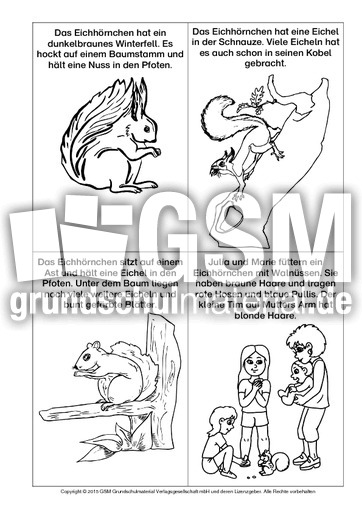 Lese-Mal-Blatt-Eichhörnchen 2.pdf